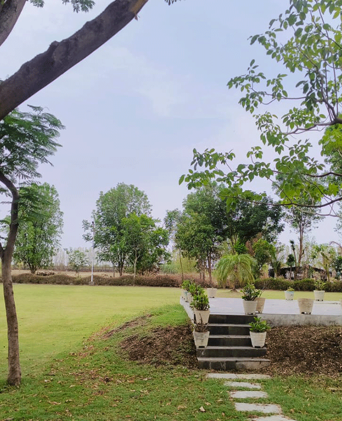 Plot